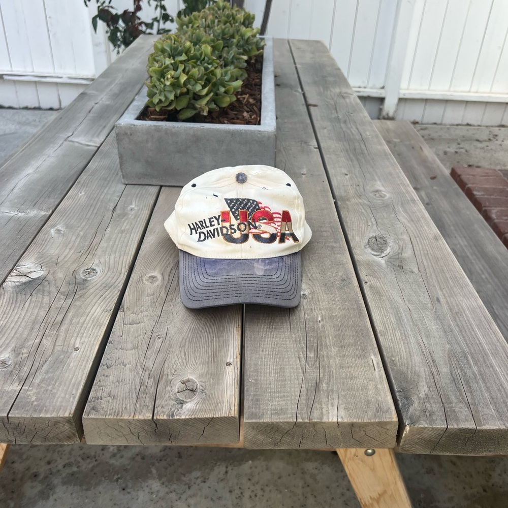rare vintage harley davidson USA hat